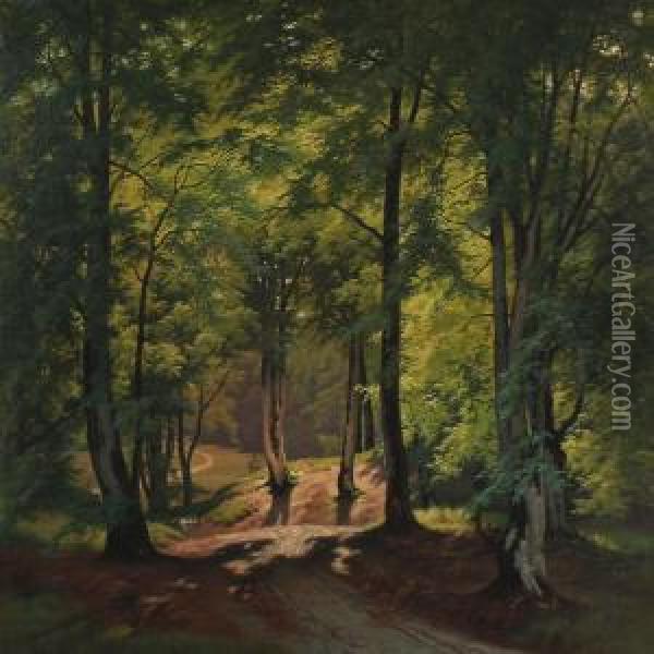 Forest Scene From The Deer Garden, Denmark Oil Painting - August Carl Vilhelm Thomsen