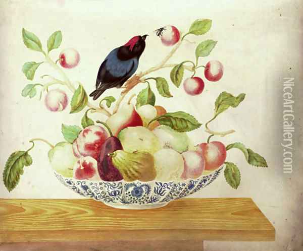 Still life with a Bee-eater perched a branch arranged in a Delft bowl with cherries, pears, apples, peaches and figs Oil Painting - Maria Sibylla Merian