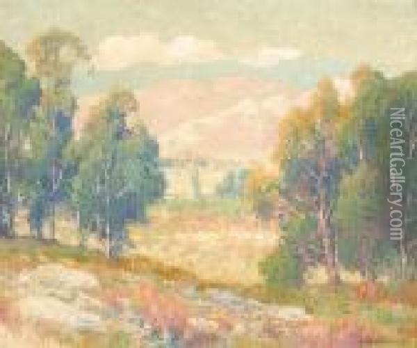 Hills At Riverside, California Oil Painting - Maurice Braun