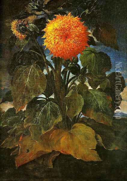 Sunflower Oil Painting - Bartolommeo Bimbi