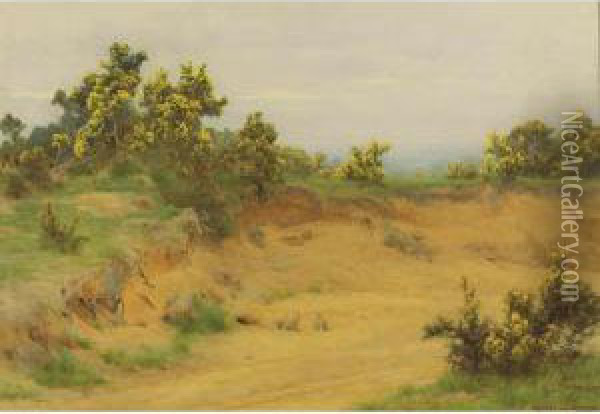 Three Rabbits In A Dry Riverbed Oil Painting - George Marks