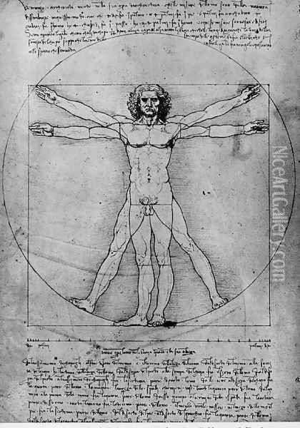 Vitruvian Man, Study of proportions, from Vitruvius's De Architectura Oil Painting - Leonardo Da Vinci