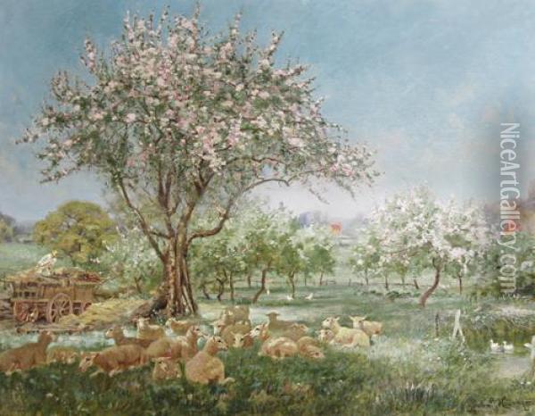 Sheep Resting In The Shade Of A Cheery Tree In Full Bloom Oil Painting - John Rabone Harvey