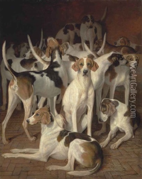 Hounds In A Kennel Oil Painting - Jacques-Laurent Agasse