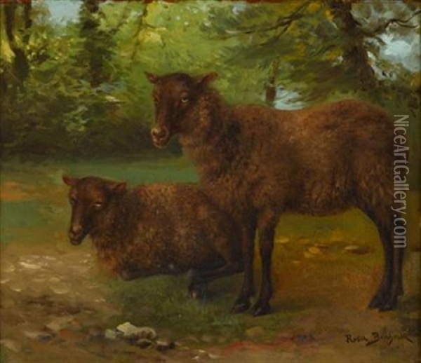 Black Sheep Oil Painting - Rosa Bonheur