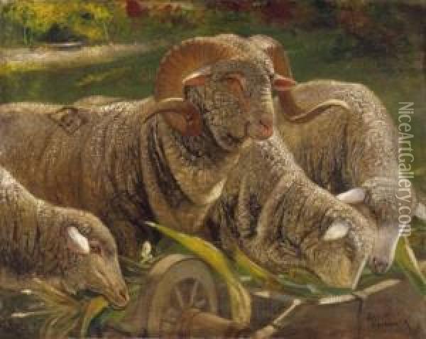 Sheep Oil Painting - Antal Szirmai