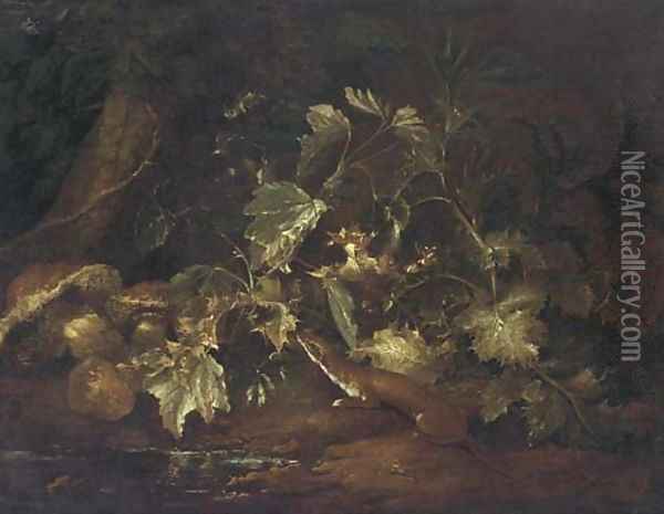 A forest floor still life with a stoat beside a pool Oil Painting - Paolo Porpora