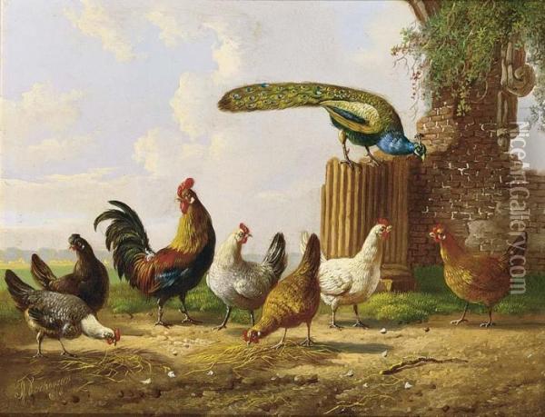 Poultry In A Landscape Oil Painting - Albertus Verhoesen