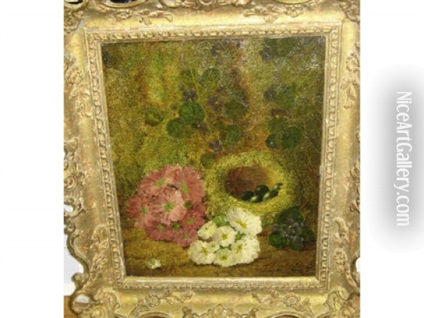 Bird's Nest And Primroses Oil Painting - Oliver Clare