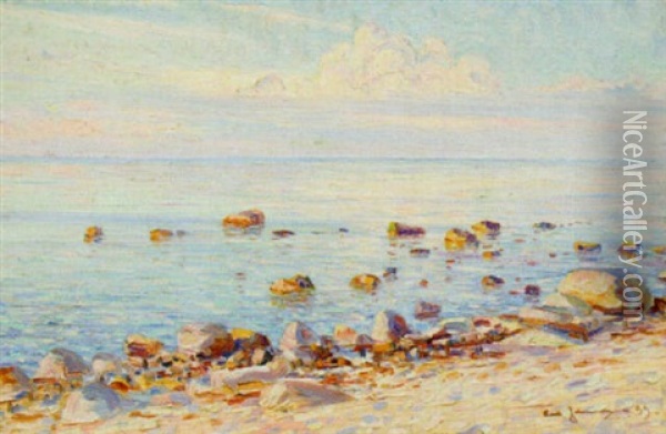 Norrlandskust Oil Painting - Carl (August) Johansson