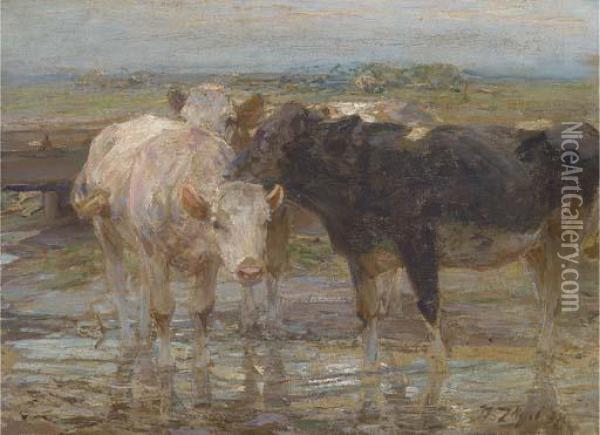 Cattle Watering Oil Painting - Heinrich Johann Von Zugel