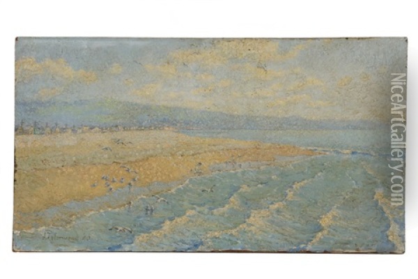 Sands Of The Pacific Oil Painting - James Taylor Harwood