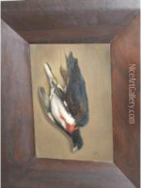 Trompe L'oeuil With Dead Bird Oil Painting - John Frederick Peto
