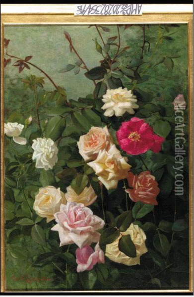 White, Pink, Yellow And Red Roses Oil Painting - T. George
