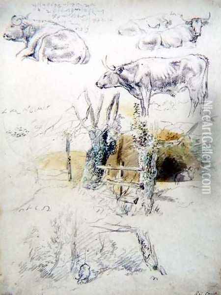 Cattle Studies Oil Painting - Robert Hills