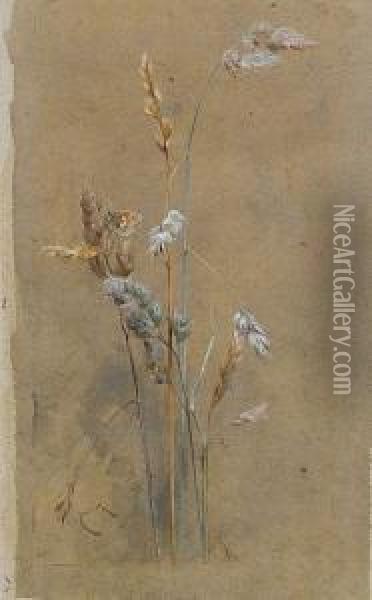 Grasses And Small Heath Oil Painting - Edwin John Alexander