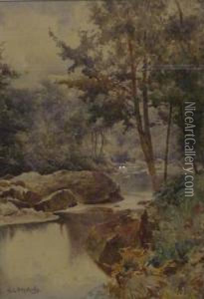 Glaisdale Woods Oil Painting - Alfred Stevens