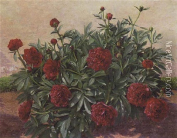 Blomstrende Paeoner Oil Painting - Hans Andersen Hansen
