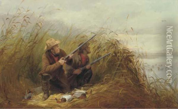 Duck Shooting With Decoys Oil Painting - Arthur Fitzwilliam Tait