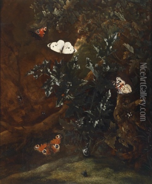 Sous-bois-stillleben Mit Schmetterlingen, Einer Schnecke Und Einer Fliege An Einer Distel Oil Painting - Otto Marseus van Schrieck
