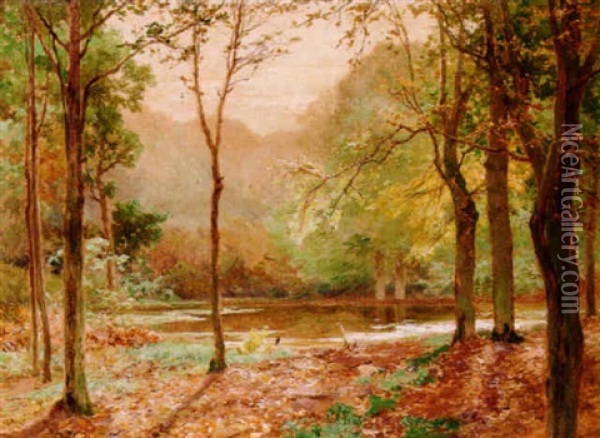 A Woodland Pool Oil Painting - Heinrich Boehmer