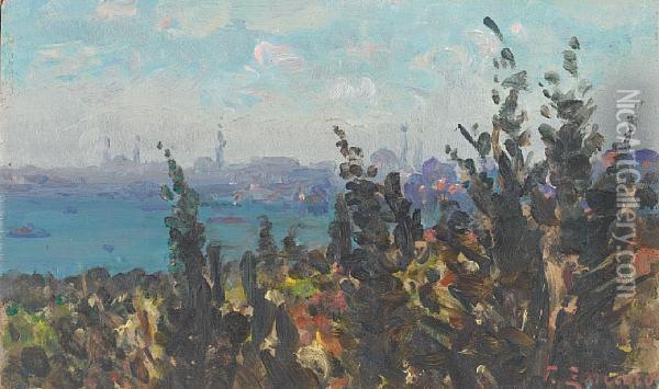 The Golden Horn From Galata,constantinople Oil Painting - Fausto Zonaro