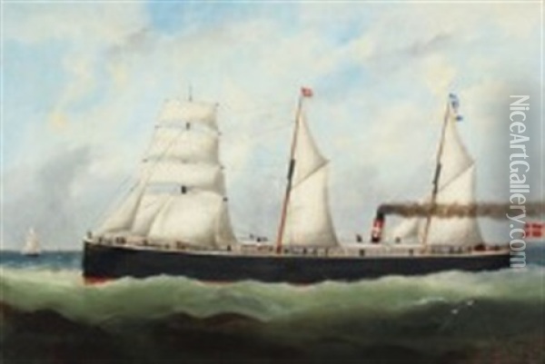 Ship Portrait Of The Steamship 