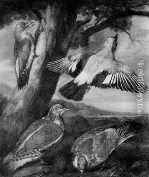 A Concert Of Birds - A Green Woodpecker, A Jay, A Bullfinch Oil Painting - Francis Barlow