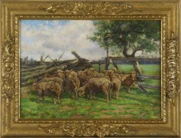 Sheep By A Country Fence Oil Painting - William Otis Swett