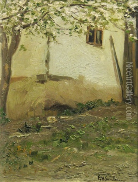 The Yard Behind The House Oil Painting - Eduard Saulescu
