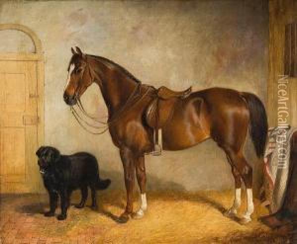 A Chestnut Hunter And Hound In A Stable Oil Painting - James Thomas Wheeler