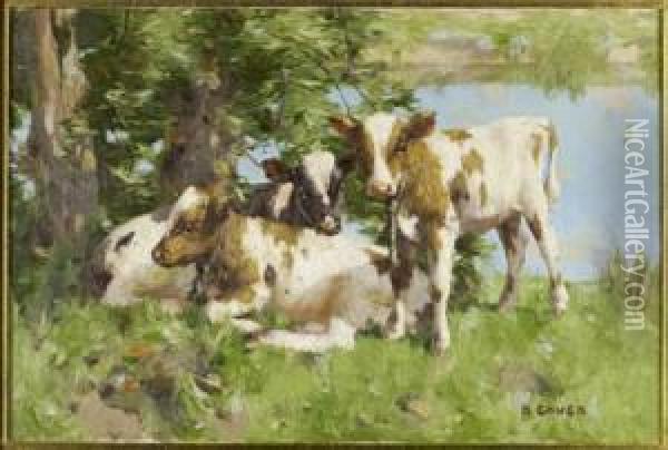 Calves By A Lake Oil Painting - David Gauld