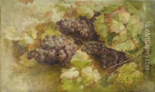 Still Life With Grapes Oil Painting - Giovanni Segantini