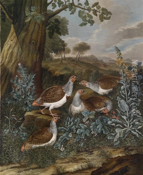 Perlhuhner In Einer Weiten Landschaft Oil Painting - Franz Michael Sigmund von Purgau