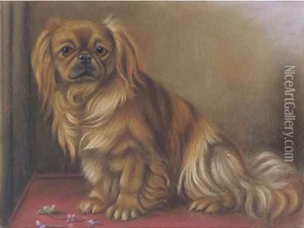 A pekingese on a table Oil Painting - English School