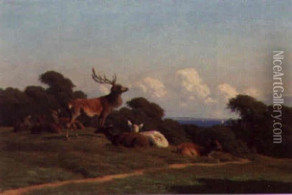 A Stag And Deer On A Hilltop With The Sea Beyond Oil Painting - Carl Frederik Bartsch