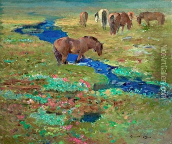 Horses By A Stream In The Meadow. Signed Halfdan Gram Oil Painting - Halfdan Gran