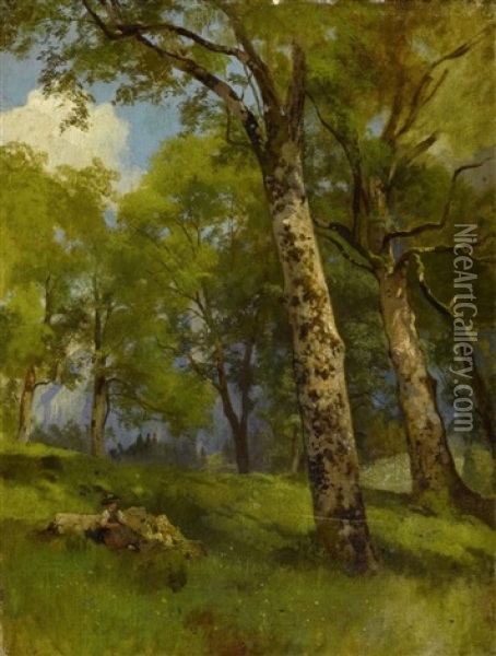 Landschaft Mit Birken Oil Painting - Traugott Schiess