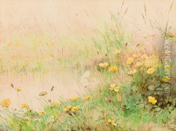 Wild Yellow Primroses Oil Painting - Fidelia Bridges