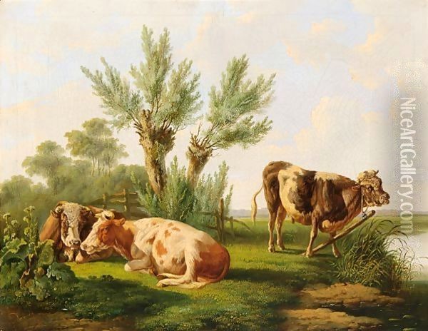 Cows Resting In A Summer Landscape Oil Painting - Albertus Verhoesen