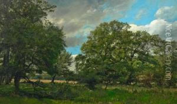 The Oak Forest In Jaegersborg's Garden Oil Painting - August Andreas Jerndorff