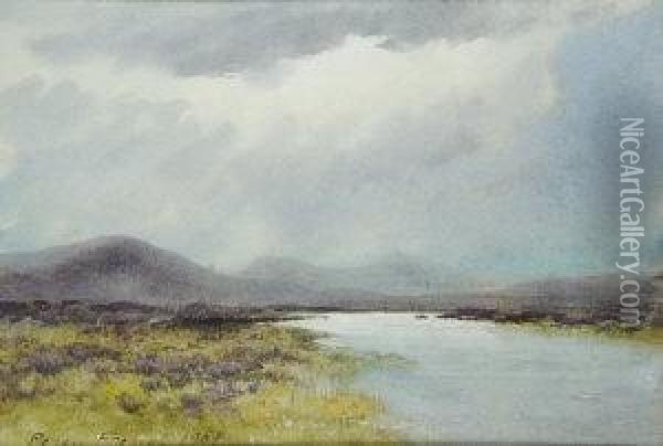Heather By A Bogland River Oil Painting - William Percy French