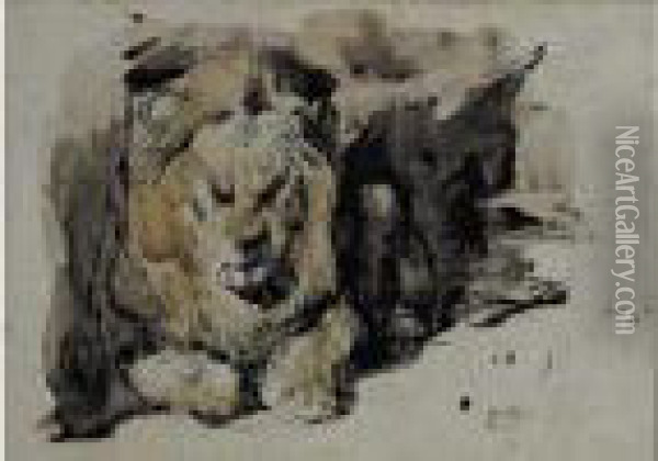 Lion Couche Vu Presque De Face Oil Painting - Eugene Delacroix
