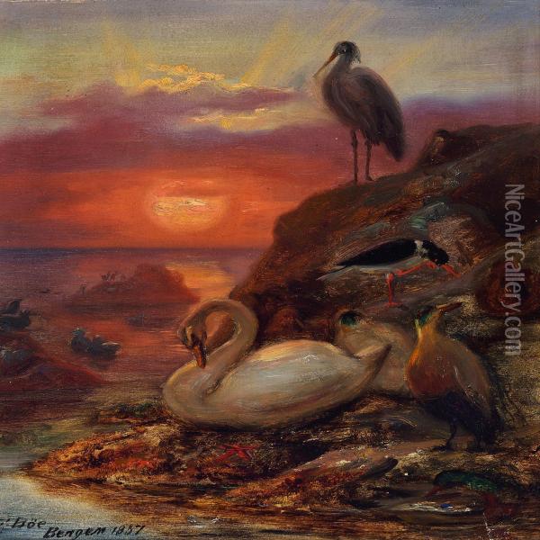Birds In The Midnight Sun Oil Painting - Frants Diderik Boe