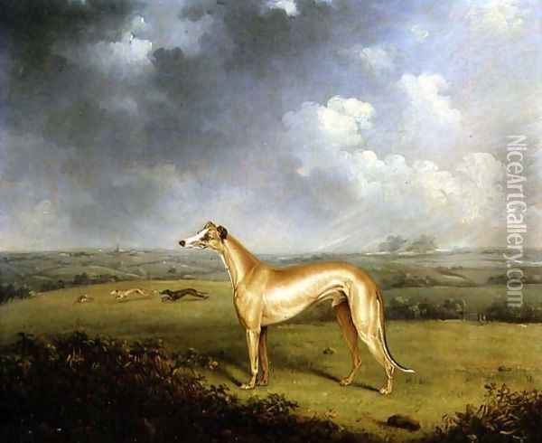 Reverend Henry Bate Dudley's Greyhound 'The Miller', 1799 Oil Painting - Henry Bernard Chalon
