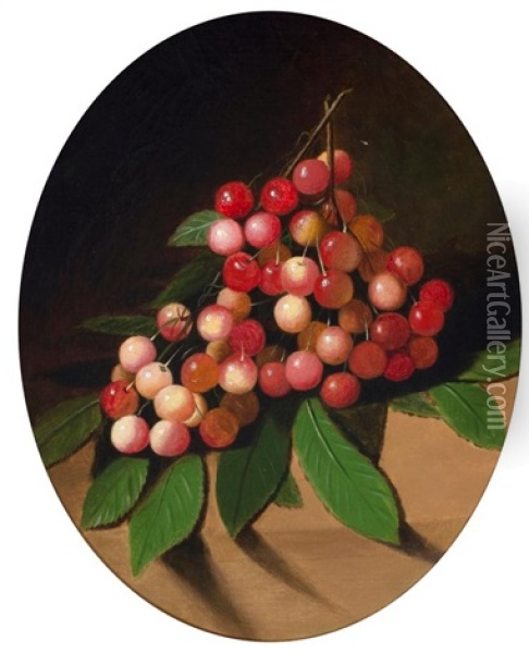 Grapes Oil Painting - Daniel Edmondson