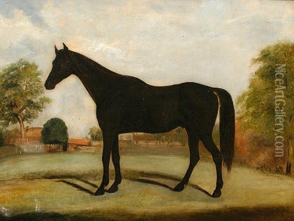 A Black Horse In A Paddock Oil Painting - John Frederick Herring Snr