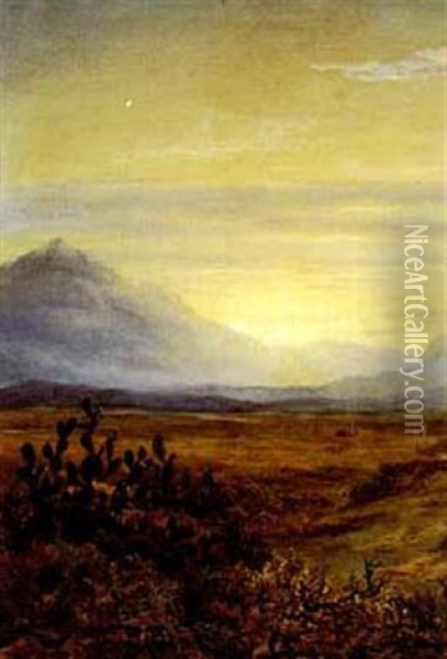 Sunset On The Little Karoo Oil Painting - Charles Rolando
