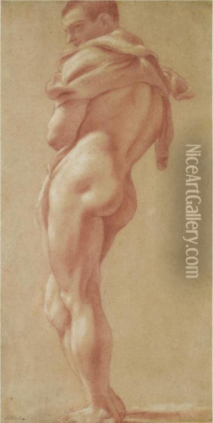 Standing Male Nude Seen From Behind Oil Painting - Pietro Faccini