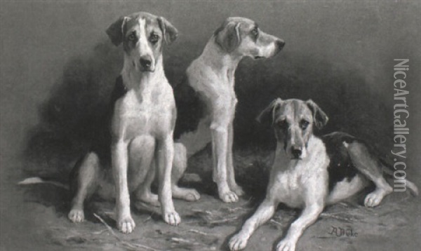A Study Of Three Hounds Oil Painting - Alfred Duke
